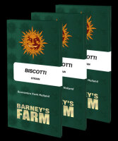 Barneys Farm Biscotti