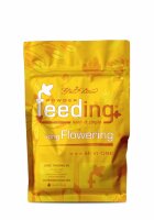GH Feeding Long Flowering