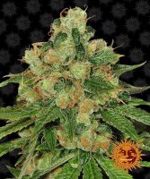 Barneys Farm CBD Caramel