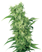 White Label Female Mix