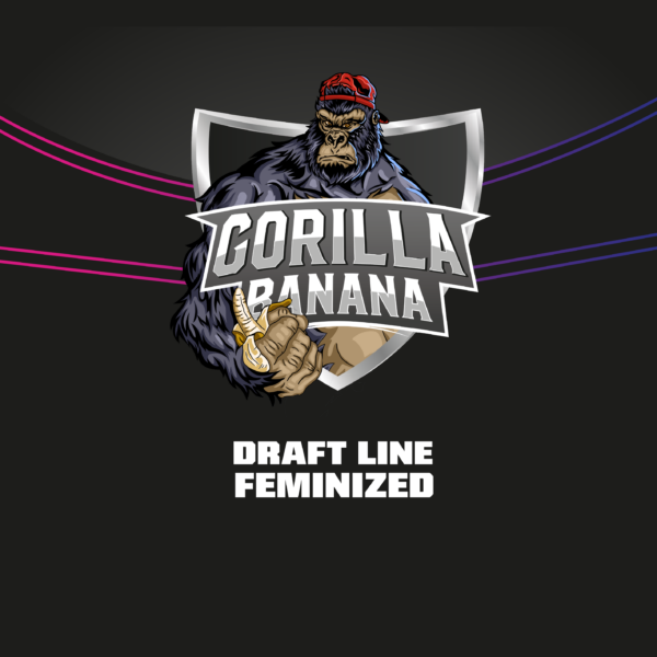 213595-2.png