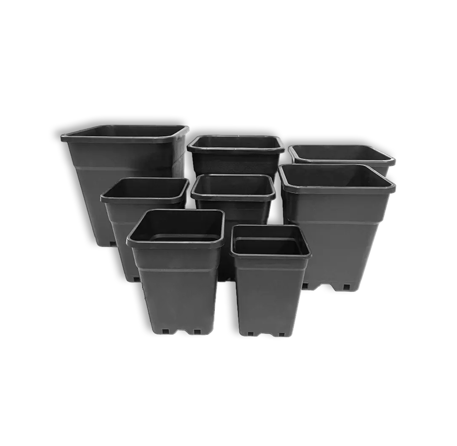 216864-1.png