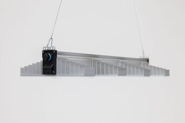 216867-1.jpg