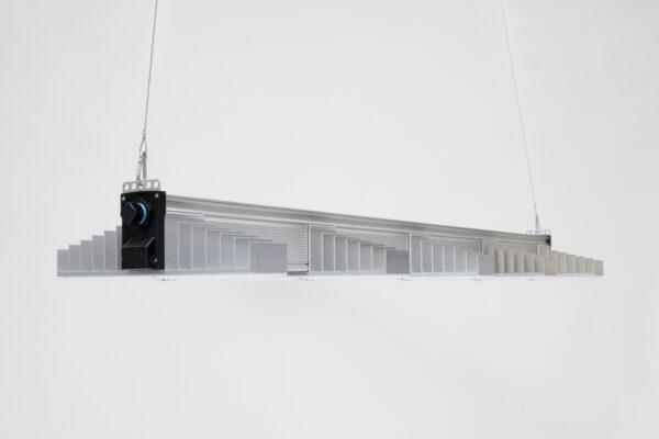 216868-1.jpg
