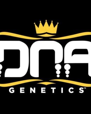 DNA Genetics