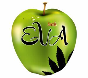Eva Seeds