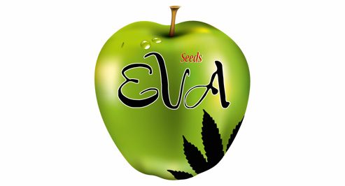 Eva Seeds