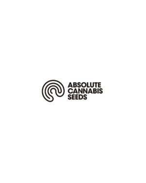 Absolute Cannabis Seeds