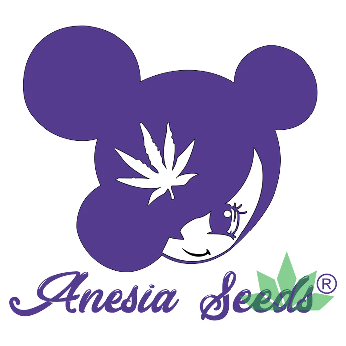 Anesia Seeds