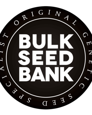 Bulk Seeds Bank