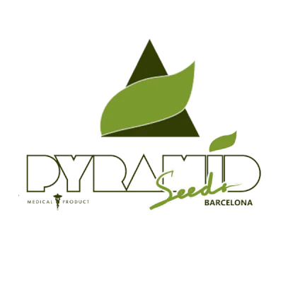 Pyramid Seeds