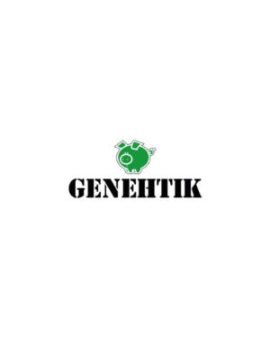 Genehtik