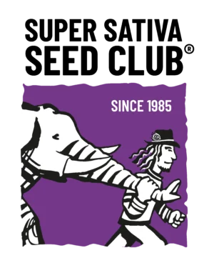 Super Sativa Seed Club