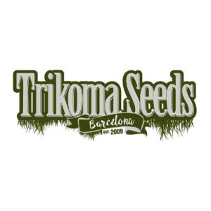 Trikoma Seeds