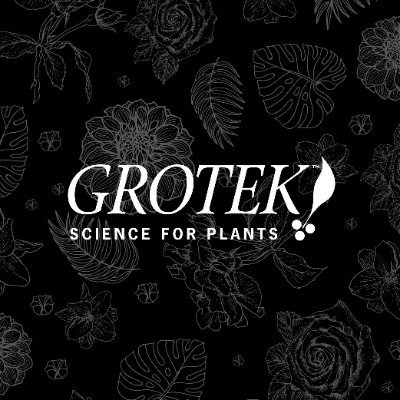Grotek