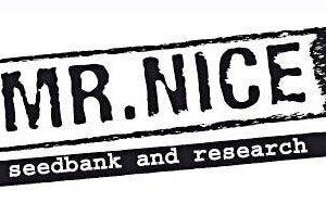 Mr. Nice