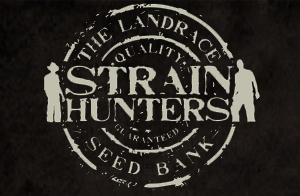 Strain Hunters