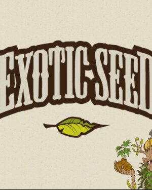 Exotic Seed