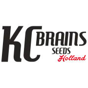 K.C. Brains