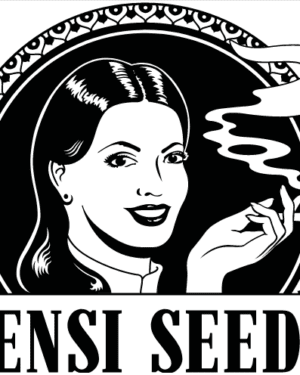 Sensi Seed Bank