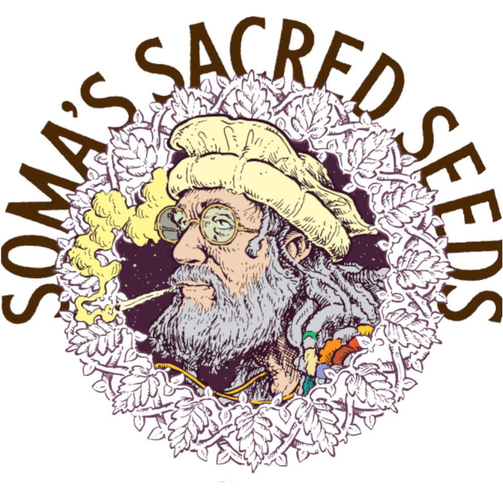 Soma Seeds