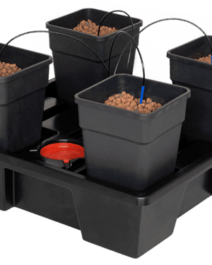 Tröpfchenbewässerung