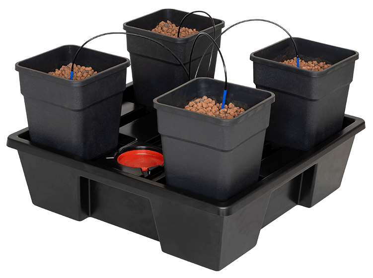 Tröpfchenbewässerung