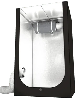 210980-1.png