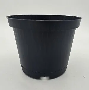 211725-1.jpg