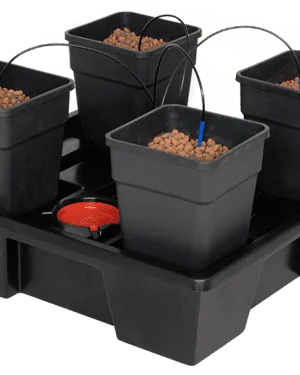 216436-1.png