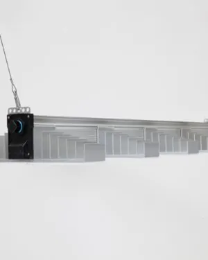 216870-1.jpg
