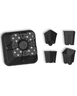 216873-1.png